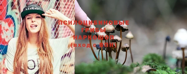 молекула духа Белокуриха