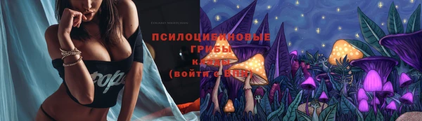 молекула духа Белокуриха