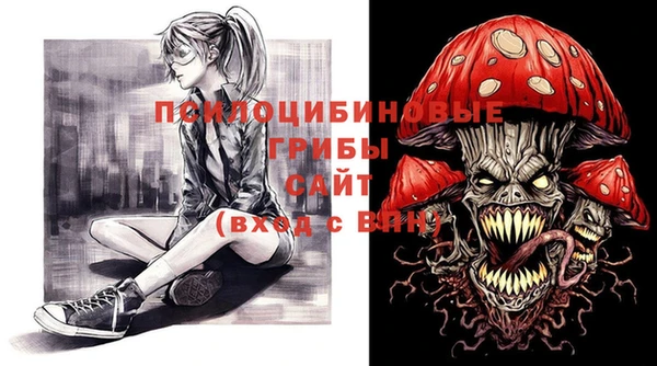 молекула духа Белокуриха