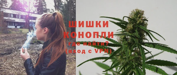молекула духа Белокуриха