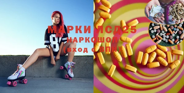 хмурый Сатка