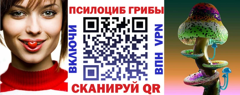 купить наркотики цена  hydra ТОР  Галлюциногенные грибы GOLDEN TEACHER  Высоцк 